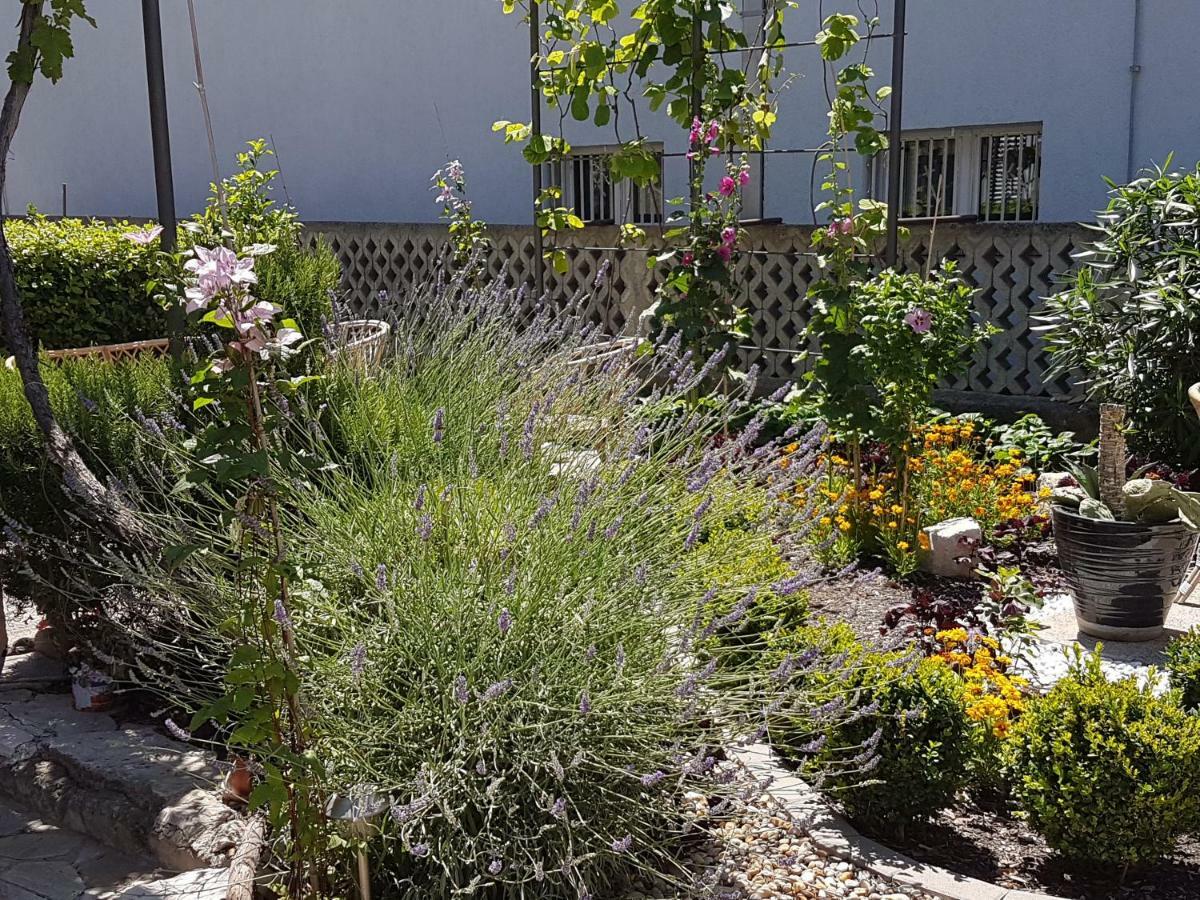 Apartments Mali Raj Vranjic المظهر الخارجي الصورة